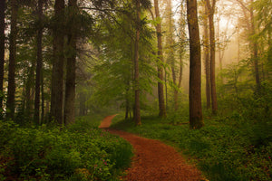 poster-print-the-red-path-x