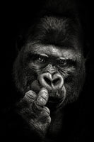 framedcanvas-print-attitude-x