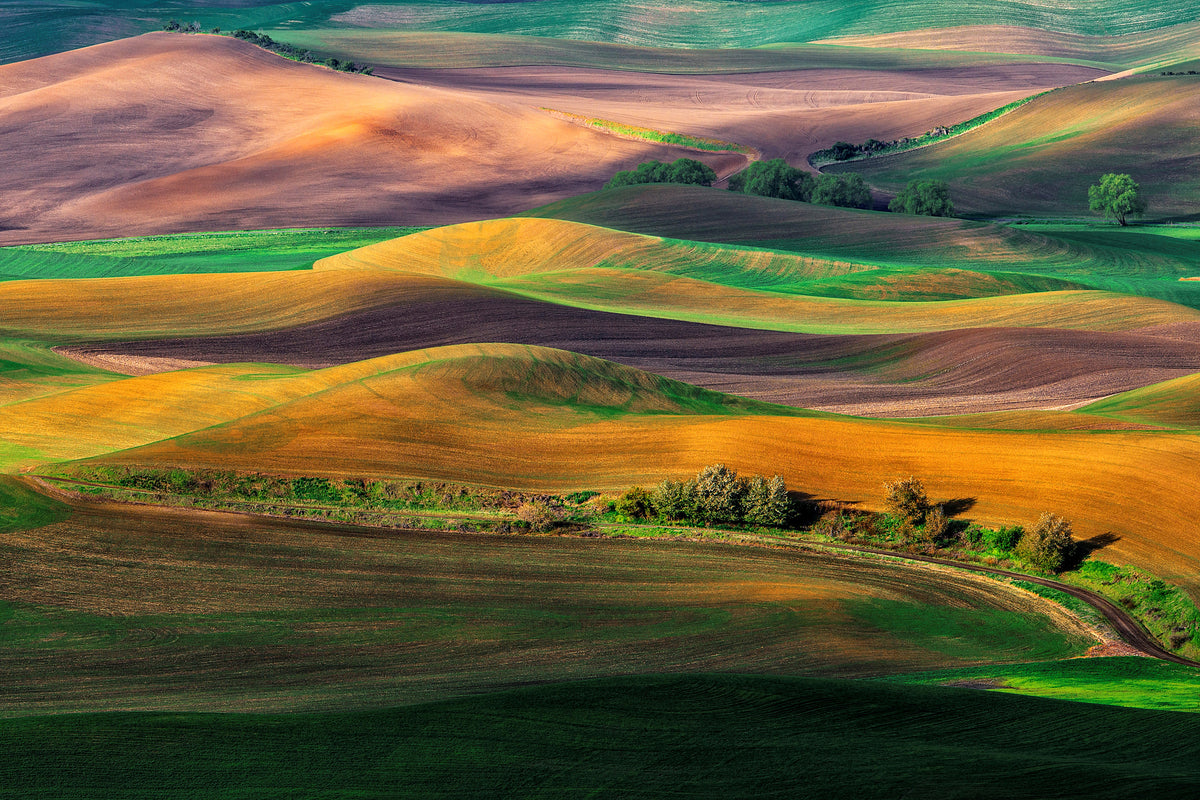 modern-3-piece-aluminium-print-the-palouse