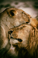 framedposter-print-what-is-love-x
