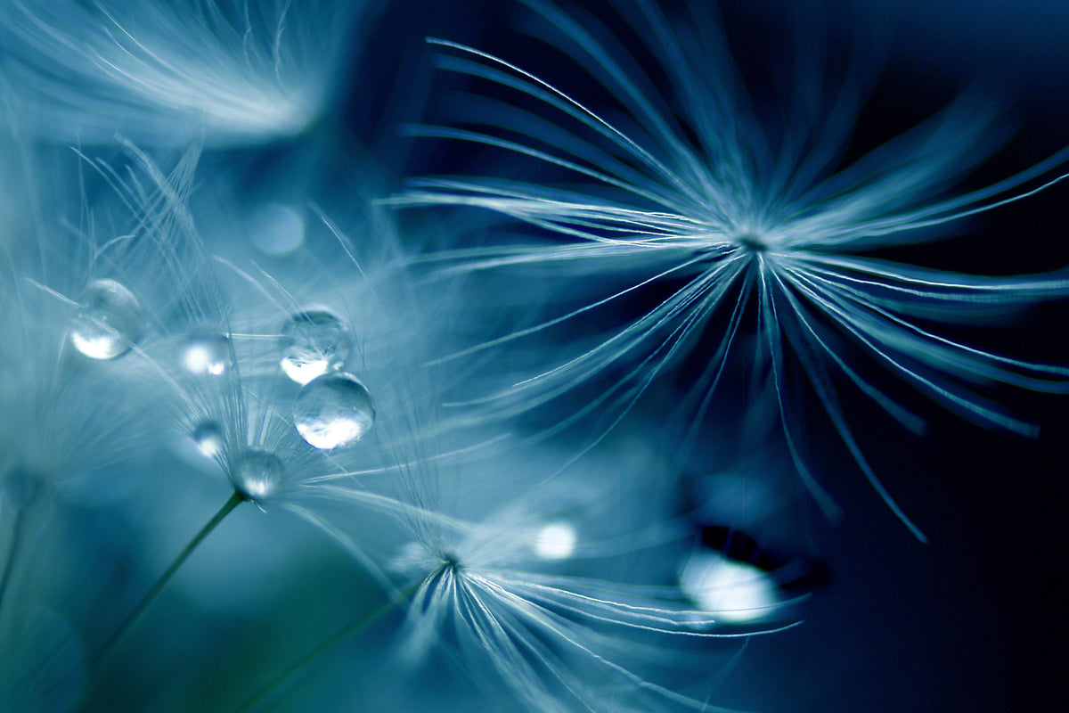 framedposter-print-soft-touch-x