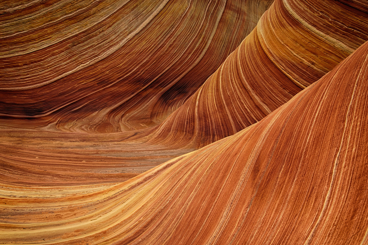 framedcanvas-print-the-movement