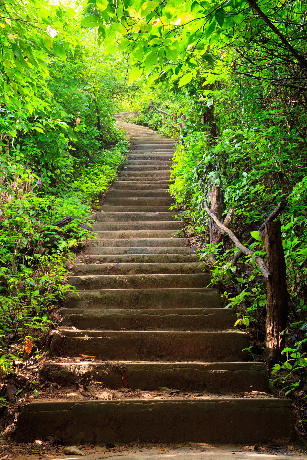 acrylic-print-wood-stairs