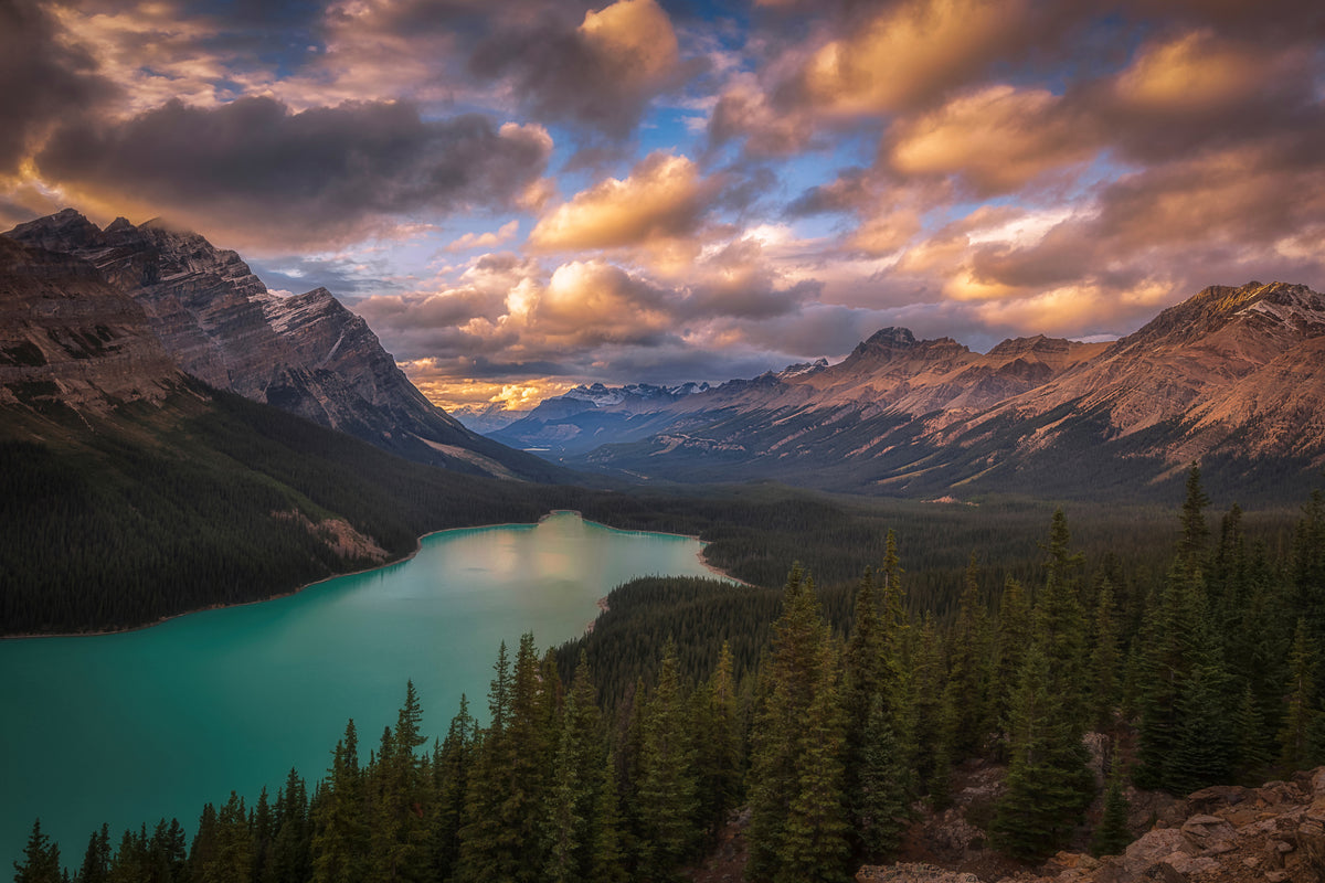 modern-3-piece-aluminium-print-peyto-lake-at-dusk