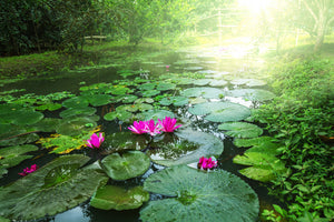 3-piece-canvas-print-garden-pond