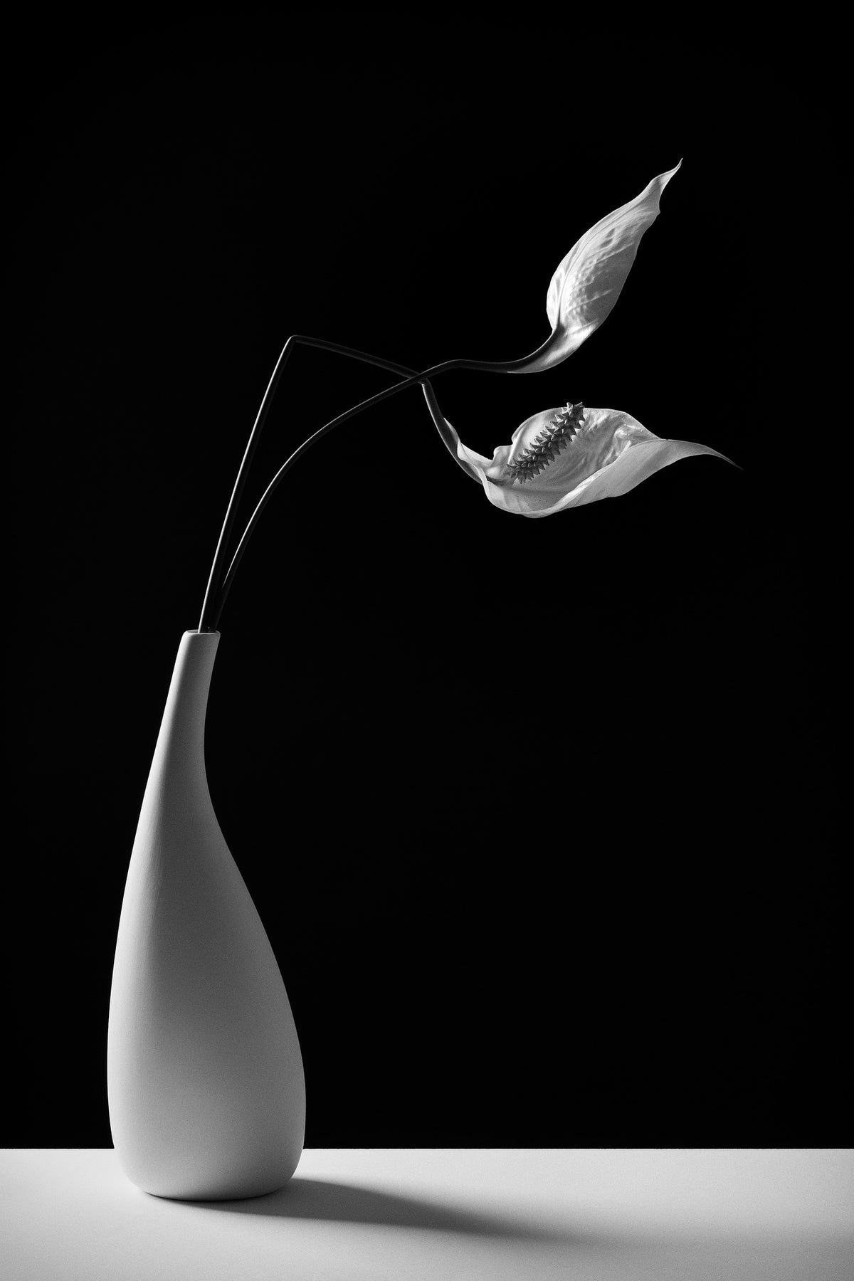framedposter-print-passionately-x