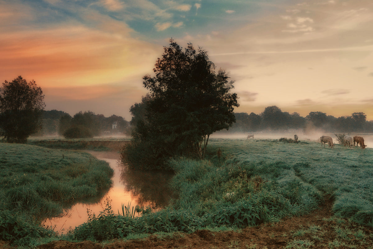 framedcanvas-print-foggy-dream-x