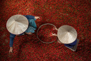 3-piece-acrylic-print-chilli