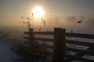 acrylic-print-winter-mood