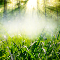9-piece-aluminium-print-magic-forest