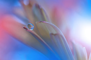 modern-3-piece-aluminium-print-touch-me-softly