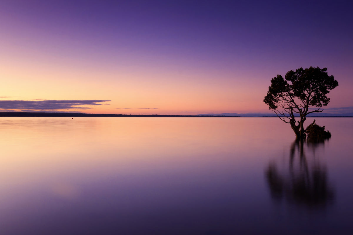 framedcanvas-print-sunset-on-the-tree-in-the-water