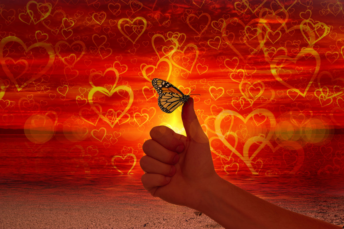 3-piece-acrylic-print-the-butterfly-and-the-love