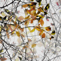 4-piece-acrylic-print-autumn-song
