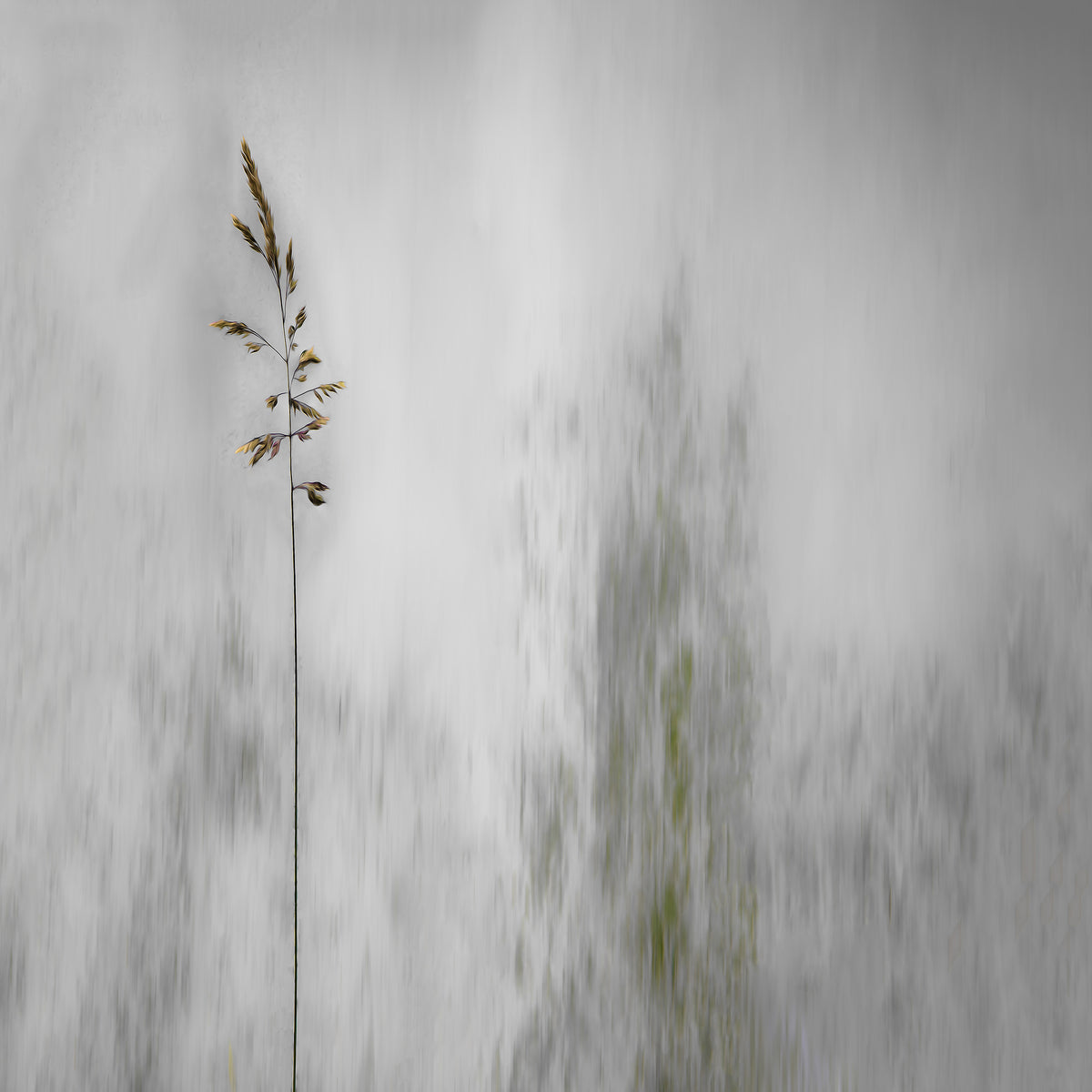 4-piece-aluminium-print-blade-of-grass