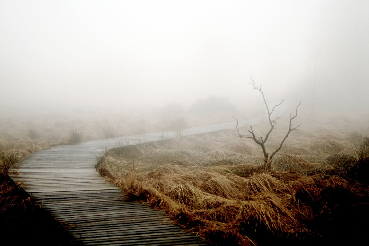 3-piece-canvas-print-dense-fog