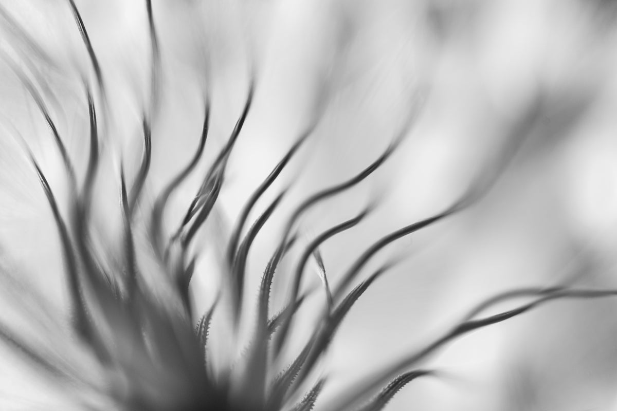 3-piece-canvas-print-untitled-xvii-p