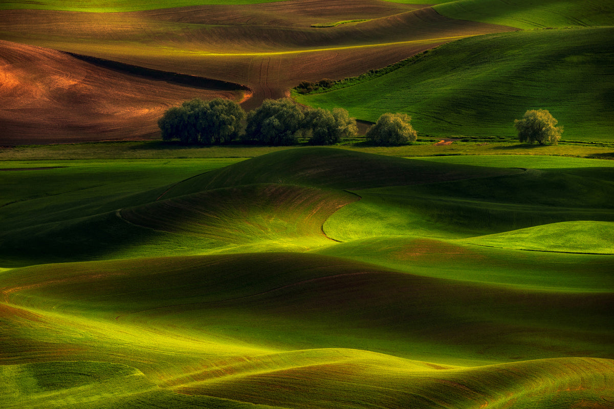 modern-3-piece-aluminium-print-spring-in-the-palouse