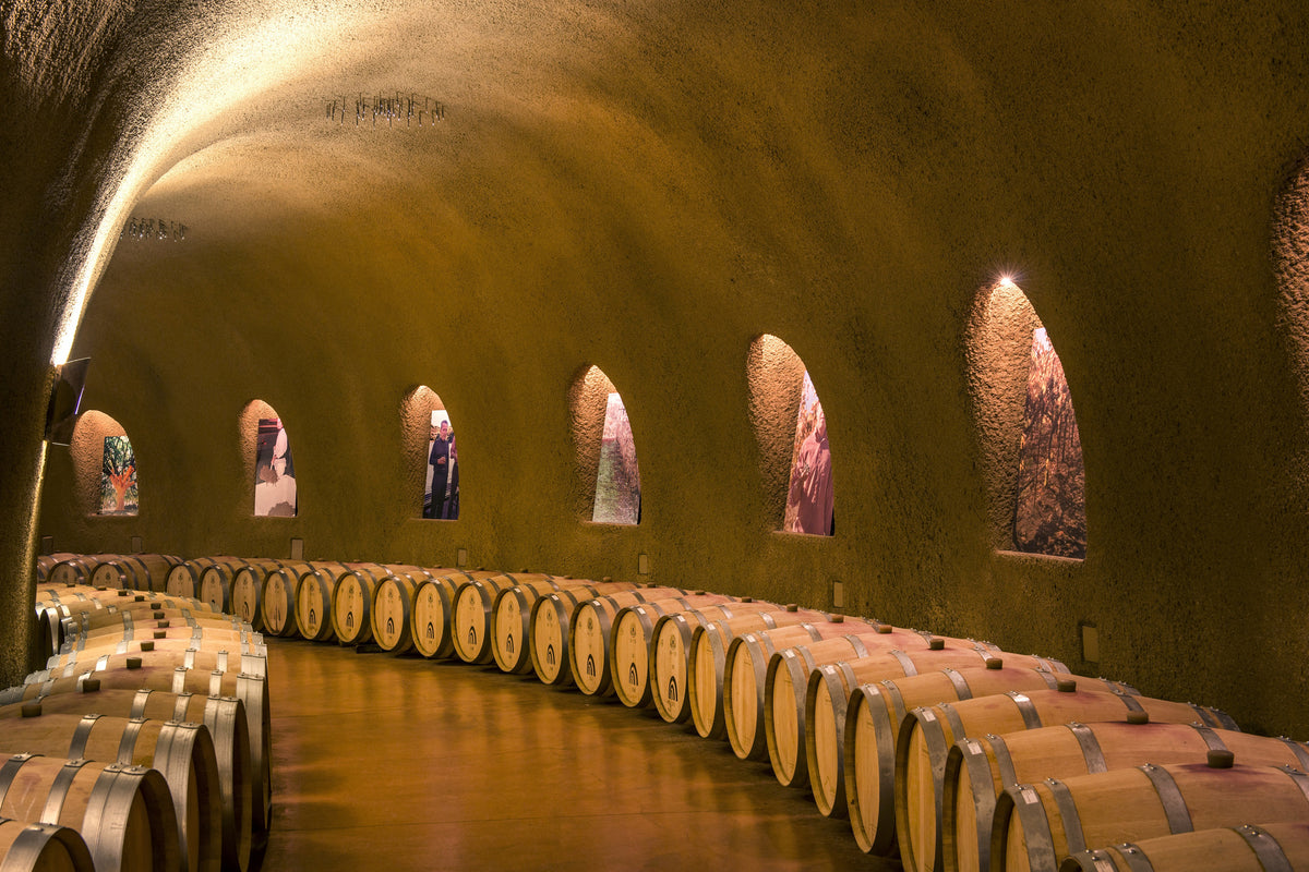 framedposter-print-in-the-wine-cellar