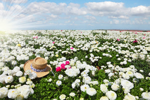 aluminium-print-spring-flower-meadow