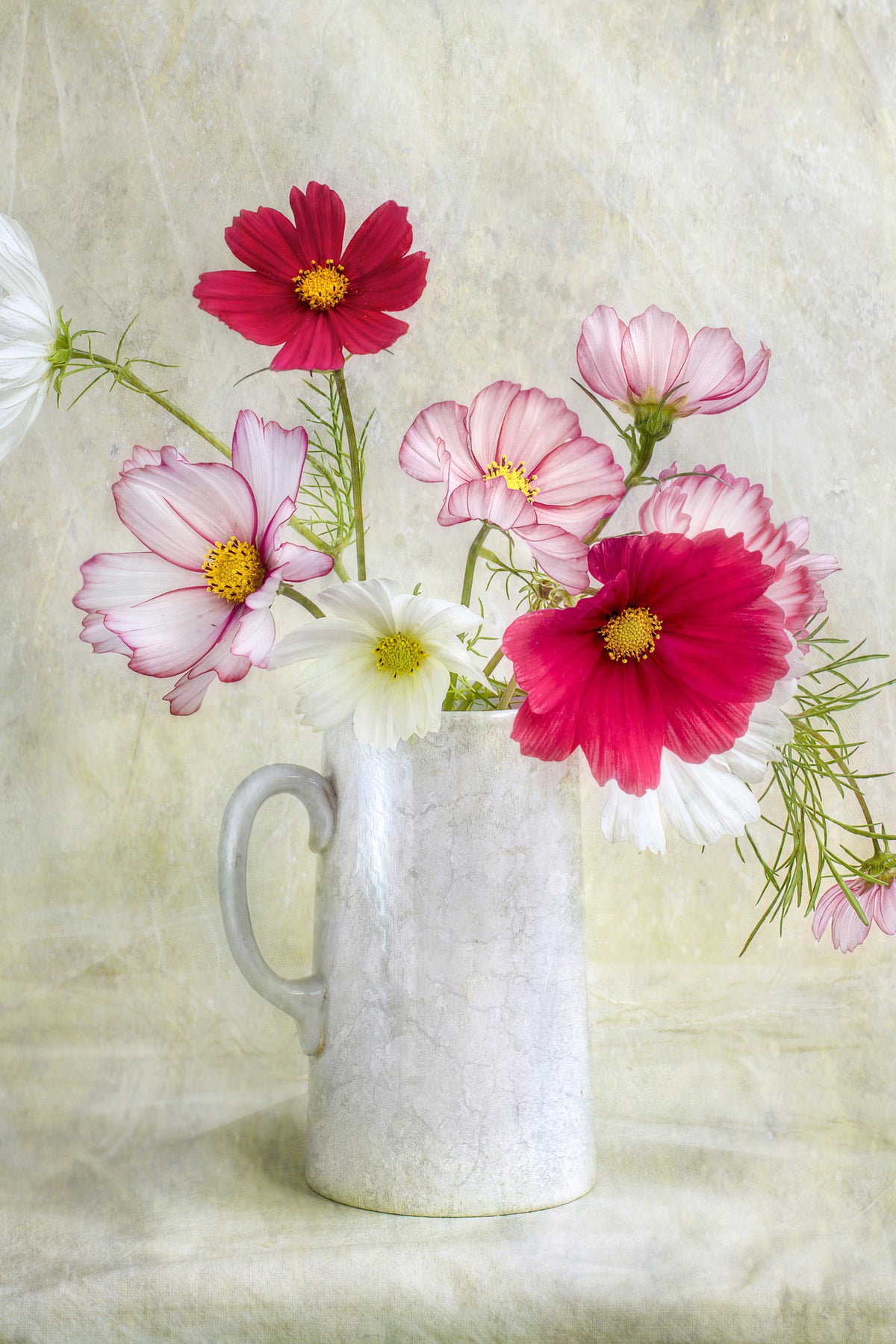 canvas-print-cosmos-carnival