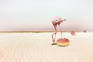 acrylic-print-donutbeach-x