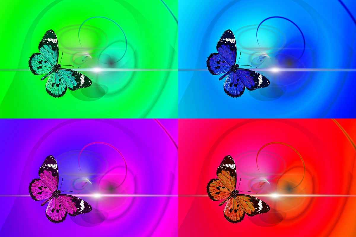 poster-print-pop-art-colorful-butterfly