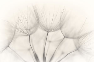 modern-3-piece-canvas-print-no-title