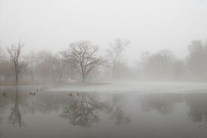 framedposter-print-untitled-xiii