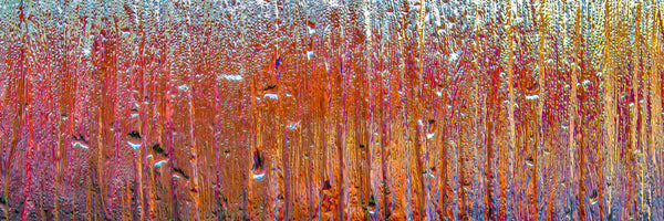 panoramic-acrylic-print-behind-glass-panorama