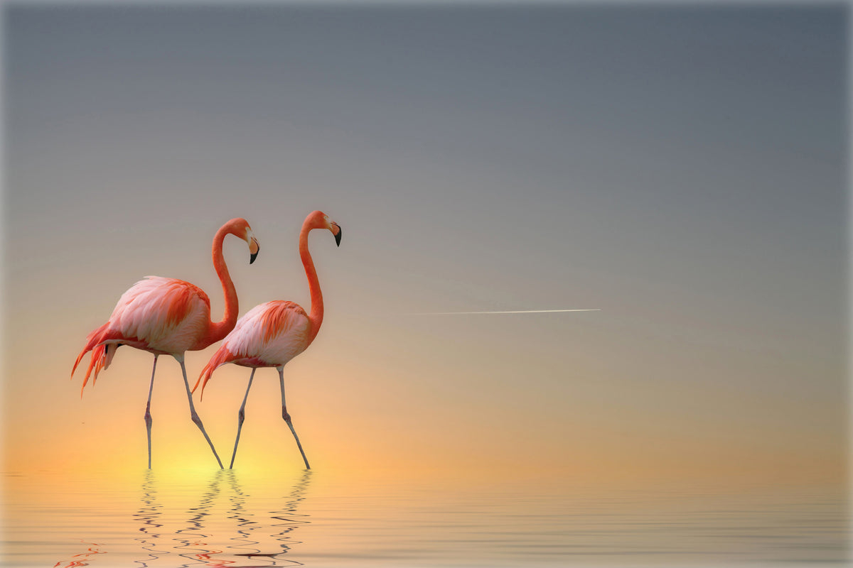 3-piece-aluminium-print-serenity-ii