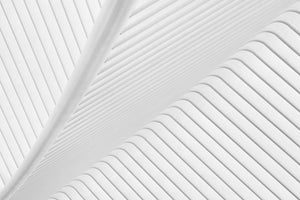 3-piece-aluminium-print-canopy