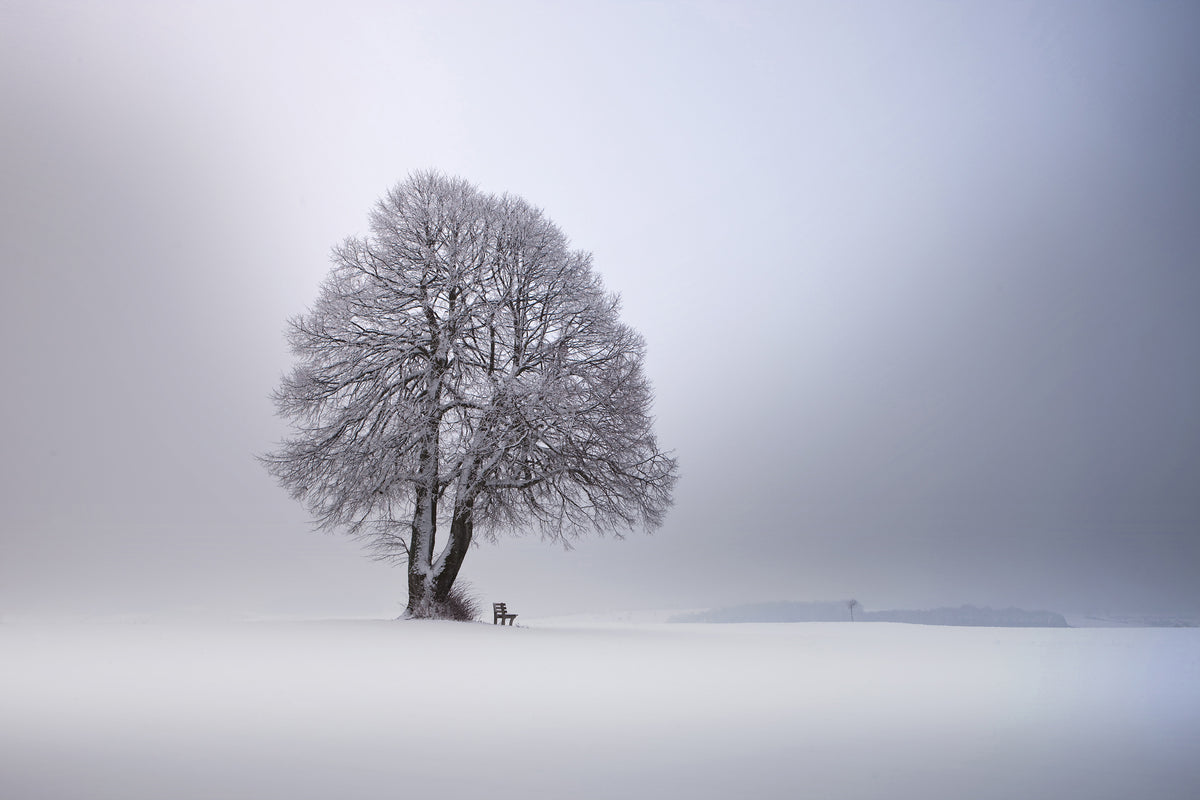 framedcanvas-print-winter-light-xpy