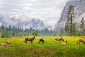 canvas-print-a-feeling-of-ancient-time