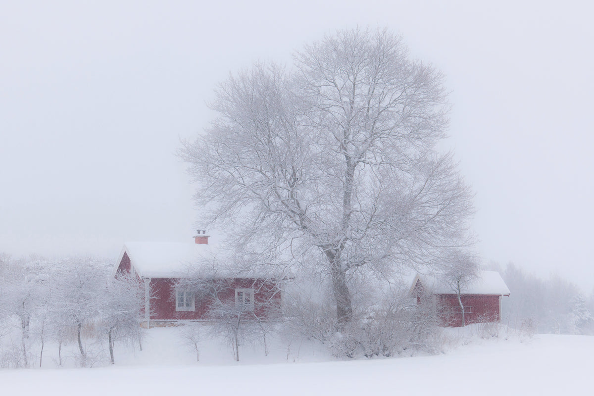 framedcanvas-print-winter-idyll-x