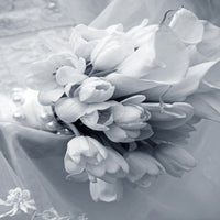 9-piece-aluminium-print-romantic-tulips-bouquet