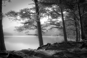 modern-3-piece-acrylic-print-loch-an-eilein