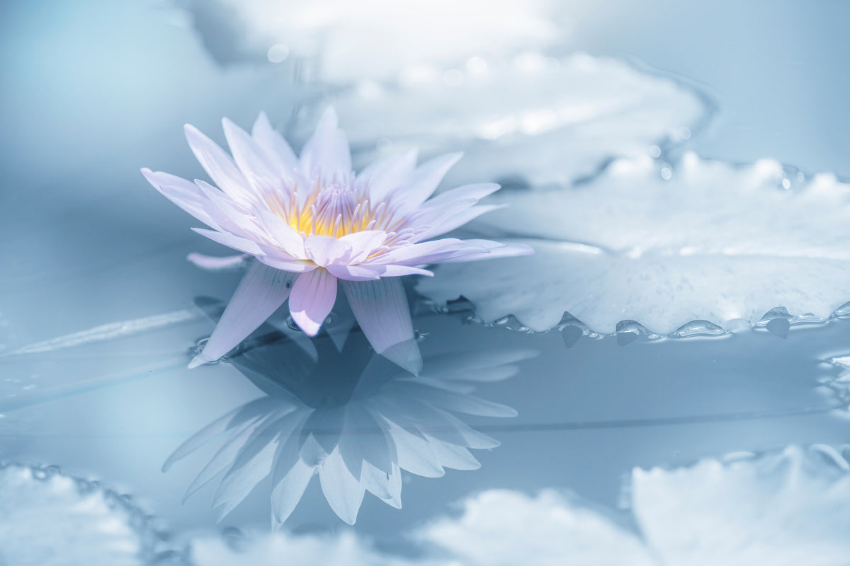 poster-print-reflection-xbu