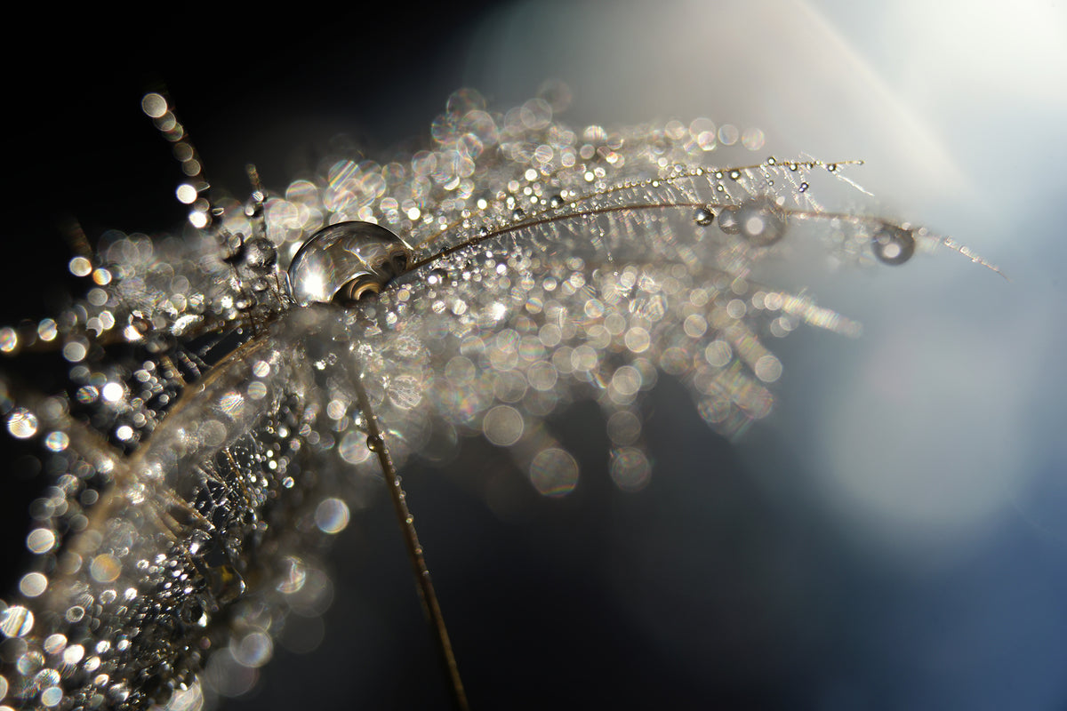 framedcanvas-print-reflection-explotion-x