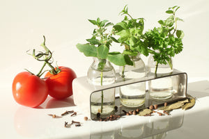 poster-print-tomatoes-and-herbs