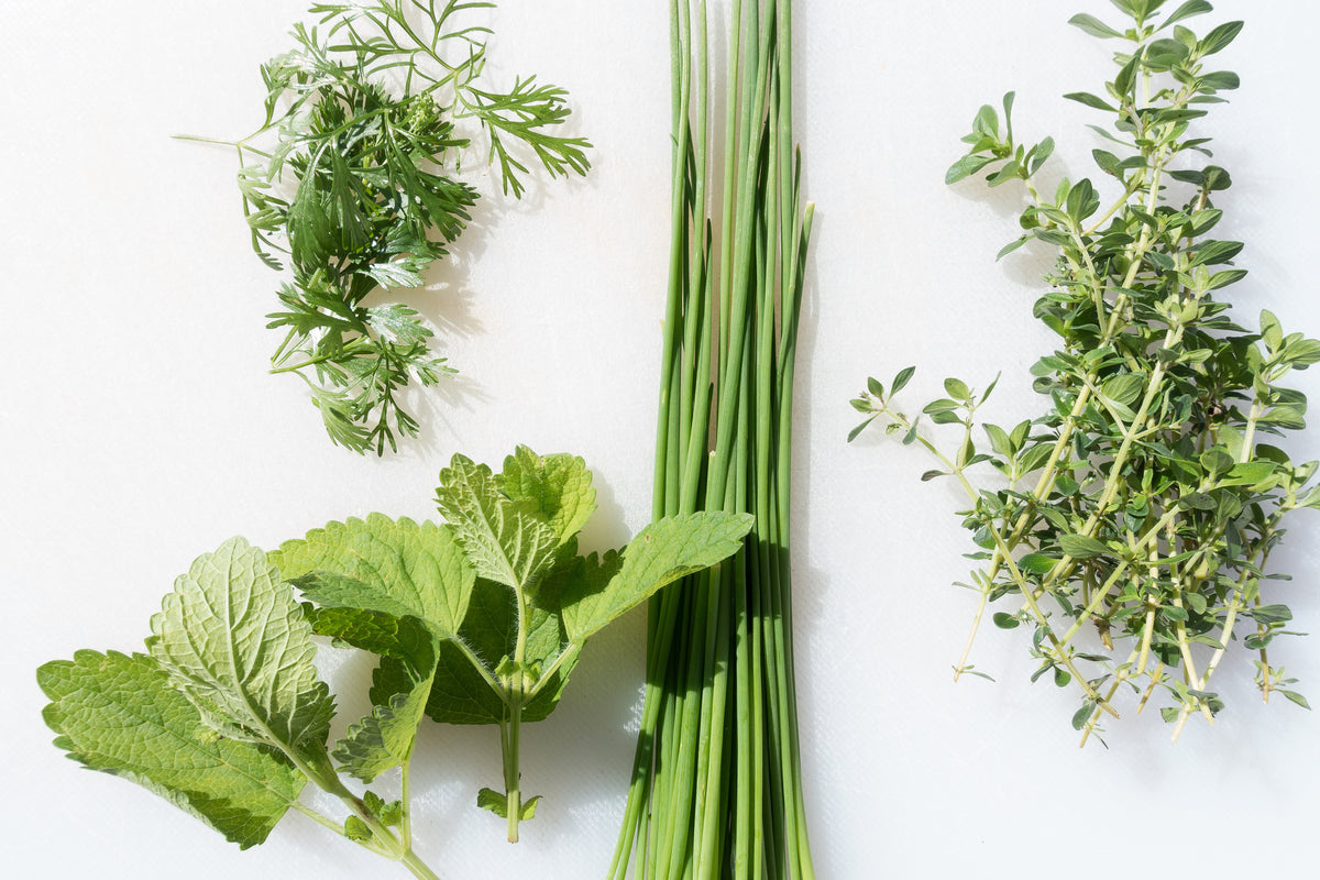 modern-3-piece-aluminium-print-fresh-herbs