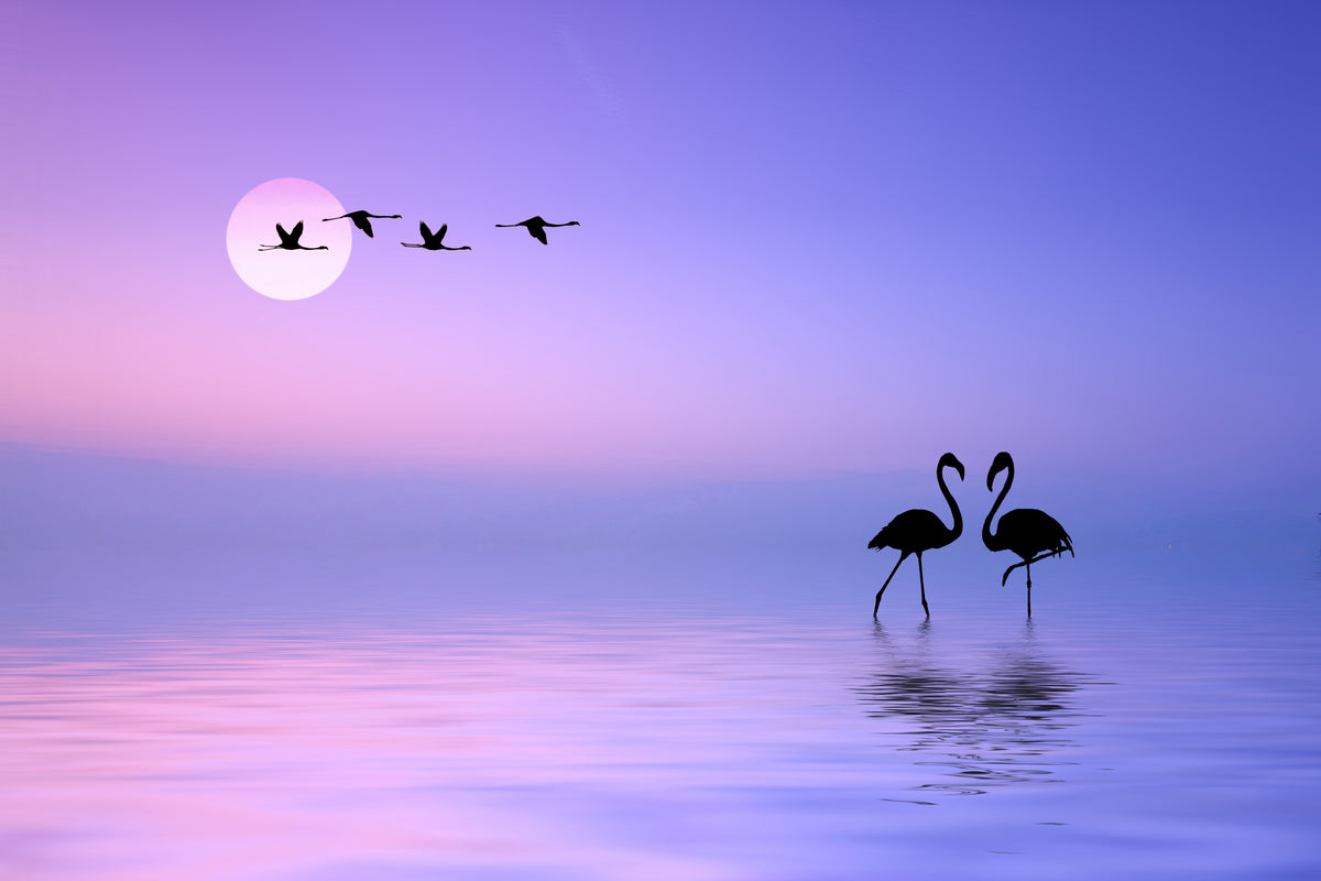 framedposter-print-flying-flamingo-x