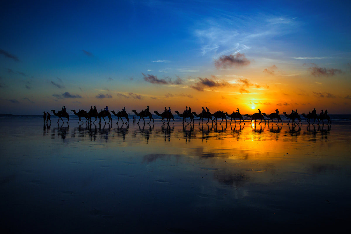 modern-3-piece-aluminium-print-sunset-camel-ride
