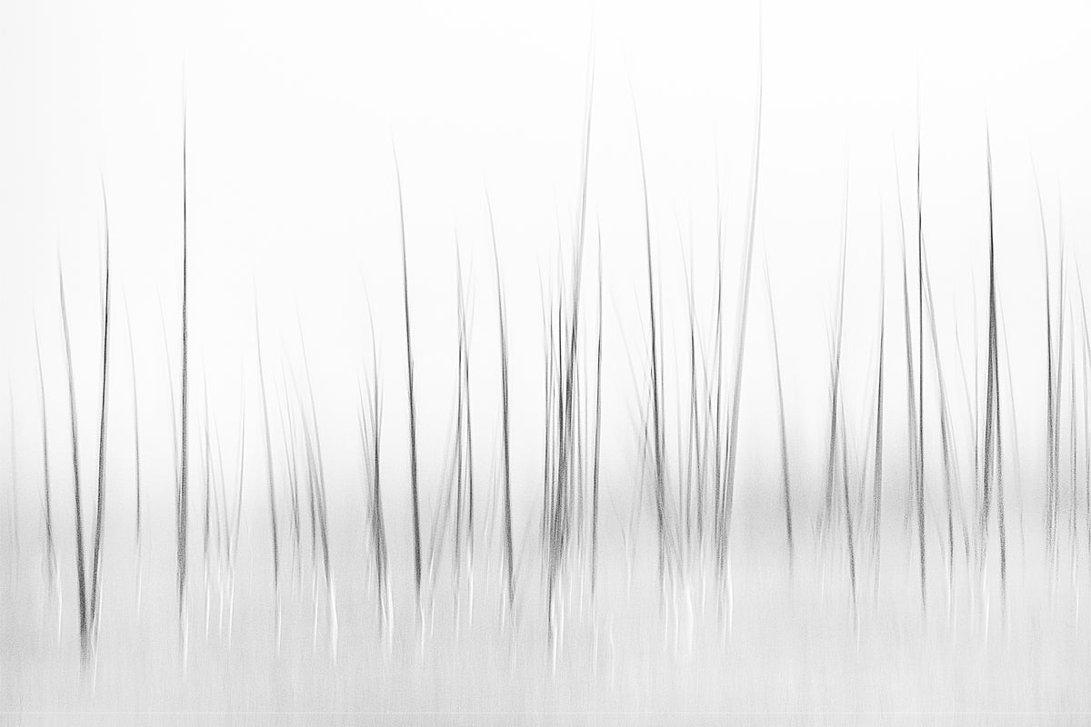 aluminium-print-wintry-scenery-in-yellowstone
