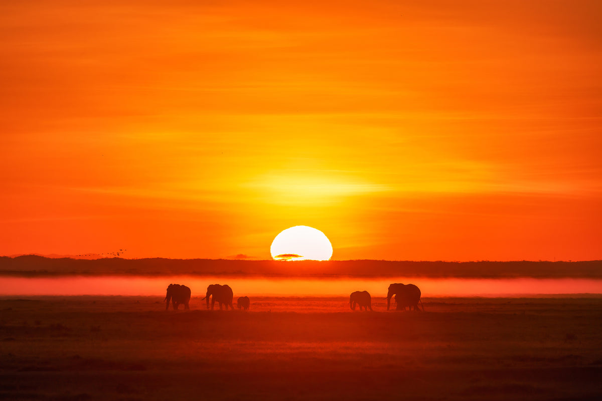 framedcanvas-print-africa-impression-x