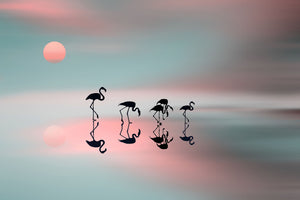 acrylic-print-family-flamingos-x