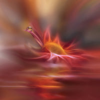 aluminium-print-song-of-my-soul