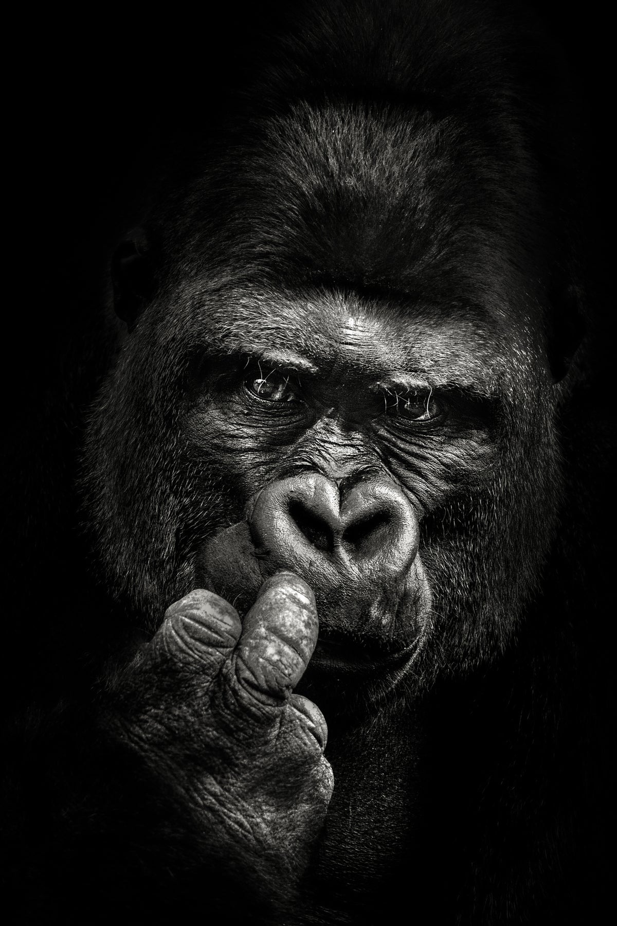 acrylic-print-attitude-x