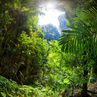 9-piece-acrylic-print-clearing-in-the-jungle