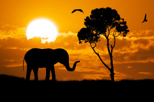 framedcanvas-print-dreamy-africa